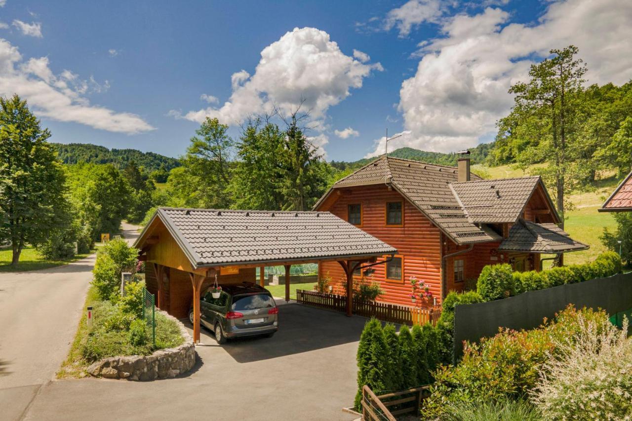 Apartma Metka Medvode Exterior foto