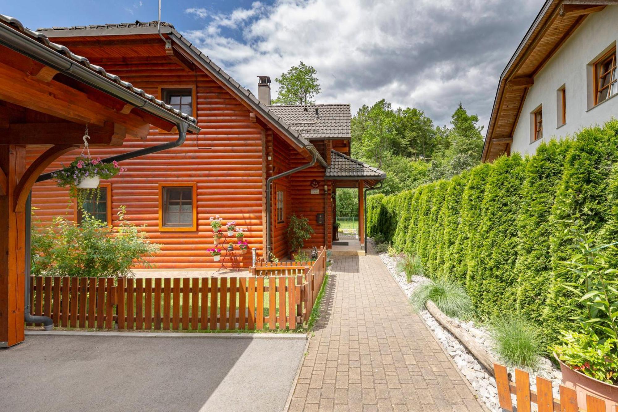 Apartma Metka Medvode Exterior foto